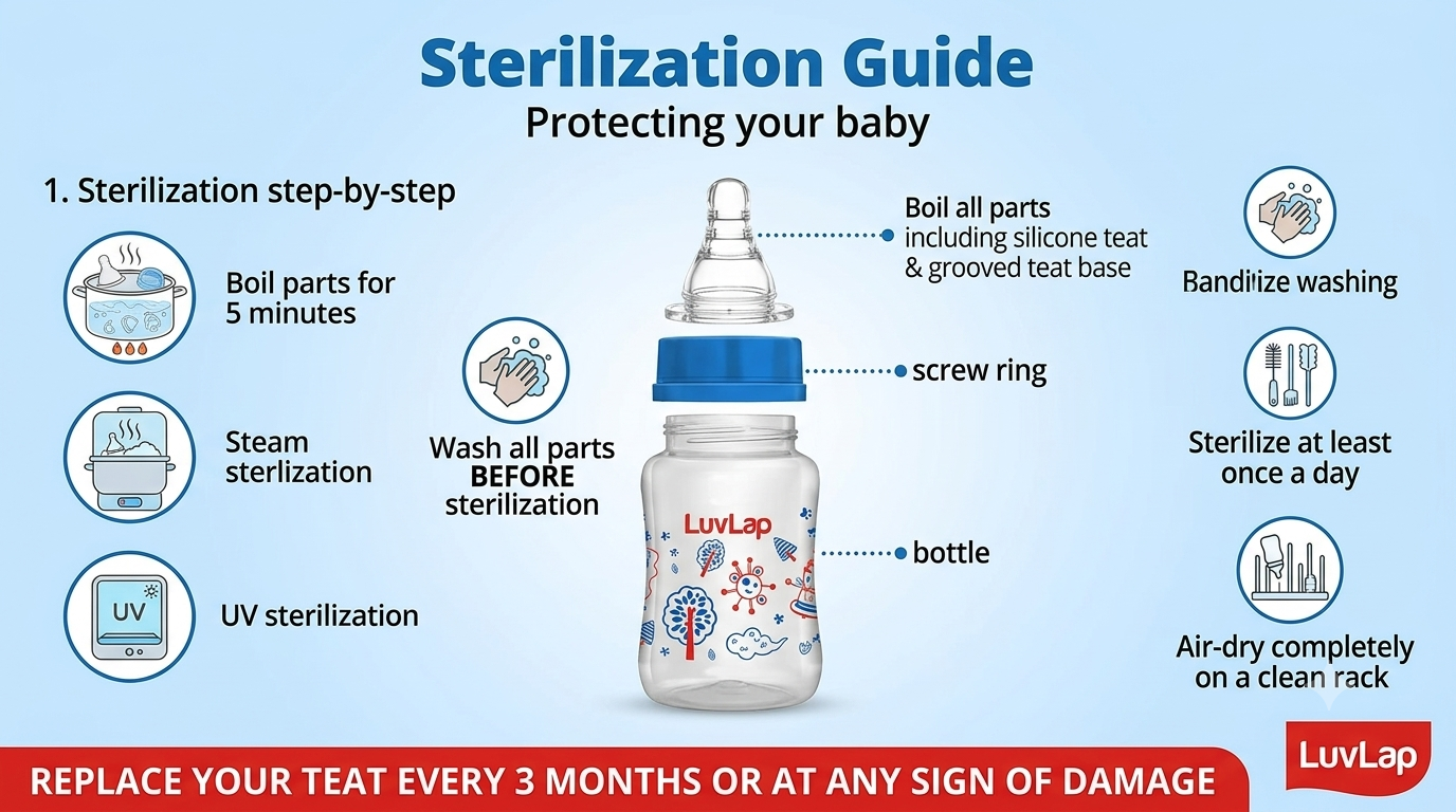 LuvLap Anti-Colic Slim Regular Neck Essential BPA-Free Baby Feeding Bottle, Blue